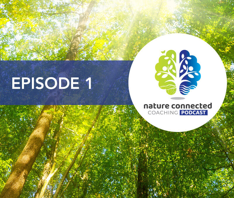 Episode 1 : Professor Peter Hawkins