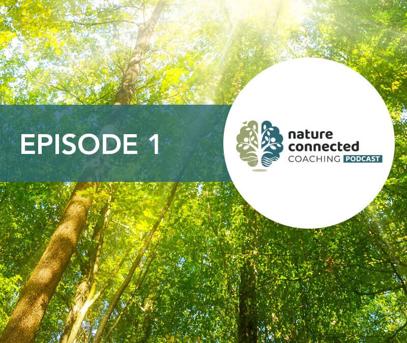 Episode 1 : Professor Peter Hawkins